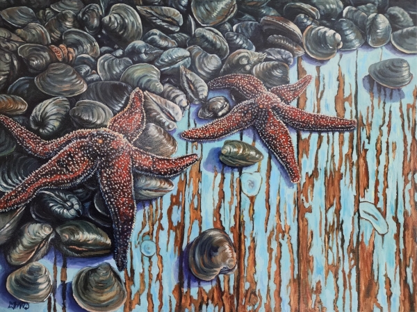 Two Star Fish & Little Necks